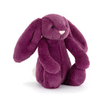 Bashful Allium Small Bunny