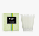 Nest Fragrances Coconut & Palm Nest Classic Candle