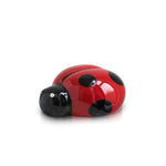 Lil Ladybug Mini