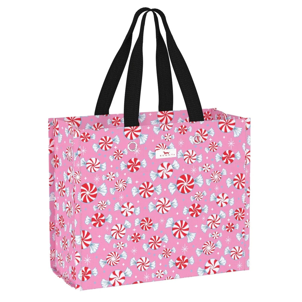 Scout Candyland Large Package