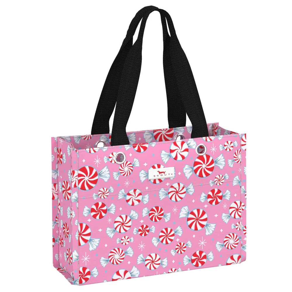 Scout Candyland Tiny Package