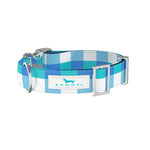 Scout Friend of Dorothy SMALL Dog Collar