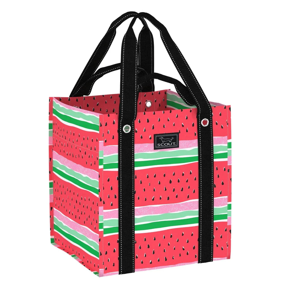 Scout Melondramatic Bagette Market Tote