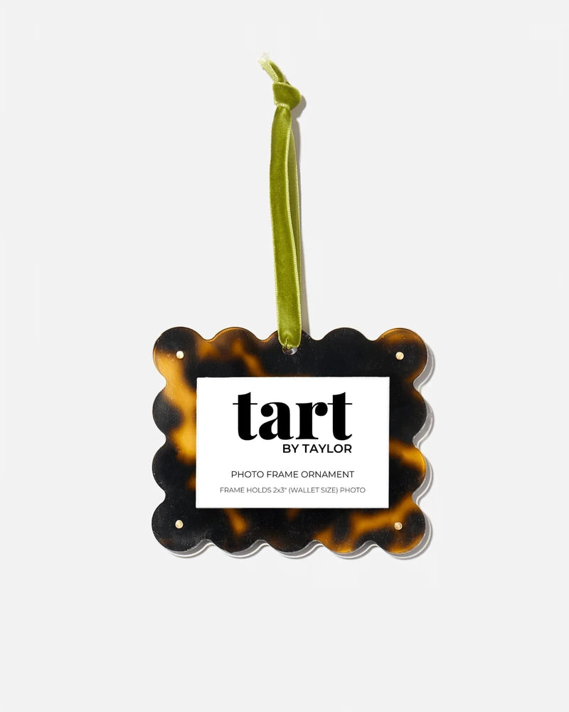 Tortoise Frame Ornament
