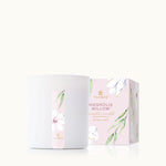 Thymes Thymes Magnolia Willow Poured Candle